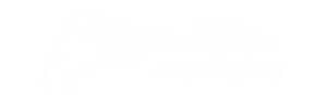 Region-Nouvelle-Aquitaine